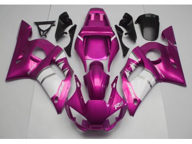 1998-2002 Rosa & Weiß R6 Motorrad Verkleidungen