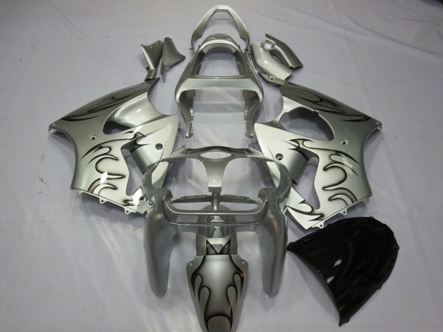 2000-2002 Silber Flamme ZX6R Motorrad Verkleidungen 2000-2002 Silber Flamme ZX6R Motorrad Verkleidungen