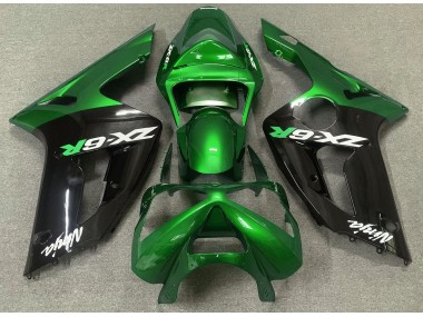 2003-2004 Glänzend Grün & Schwarz ZX6R Motorrad Verkleidungen